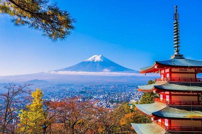 Mt Fuji Private Day Trip from Tokyo with English Speaking Driver - Saiko Lake and Iyashi no Sato Nenba: a more tranquil Fuji angle