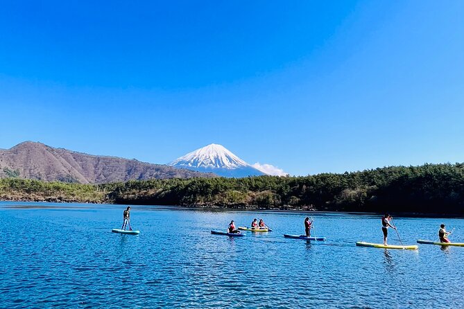Mt Fuji Private Day Trip from Tokyo with English Speaking Driver - Timing and weather: how to plan your photos without losing your mind