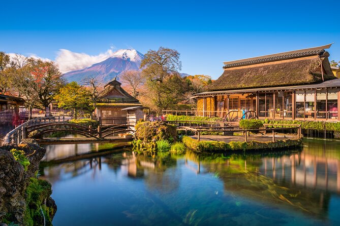 Mt Fuji Private Day Trip from Tokyo with English speaking driver - Lake Yamanakako Side Bowl: The Closest Feeling to Fuji