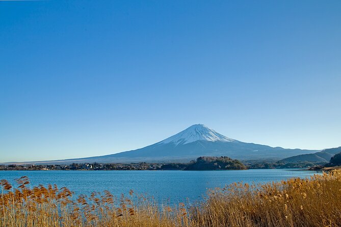 Mt Fuji Private Day Trip from Tokyo with English speaking driver - Pickup in Tokyo: The Part You Should Take Seriously