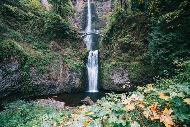 Mt Hood Day Trip from Portland to Multnomah Falls and Hood River - Hotel Pickup and Mercedes-Benz Sprinter: Less Hassle, More Looking Around