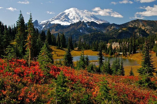 Mt. Rainier Day Tour from Seattle - Mt. Rainier Day Tour key takeaways