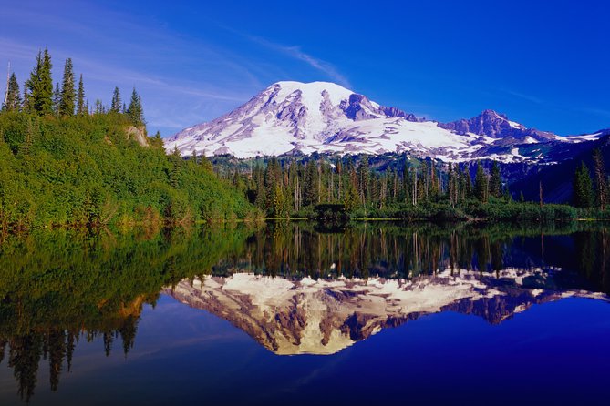 Mt. Rainier Day Tour from Seattle - Longmire: the first in-park stop with history and a reset