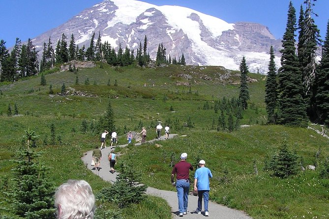 Mt. Rainier Day Tour from Seattle - Narada Falls: the big waterfall hit (and possible lower-falls hike)