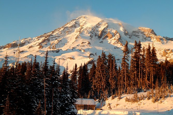 Mt. Rainier National Park Highlights Tour - Mt. Rainier Highlights Tour: The Best Bits at a Glance