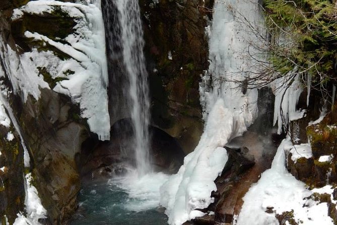 Mt. Rainier National Park Highlights Tour - Morning Pickup in Seattle: Why This Day Starts Early