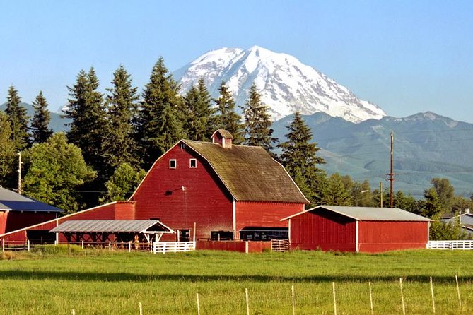 Mt. Rainier National Park Highlights Tour - Longmire Proper: Viewpoints, Lodge Time, and Optional Hikes