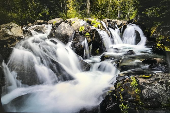 Mt. Rainier National Park Highlights Tour - Christine Falls and Narada Falls: The Two Waterfalls That Make the Camera Happy