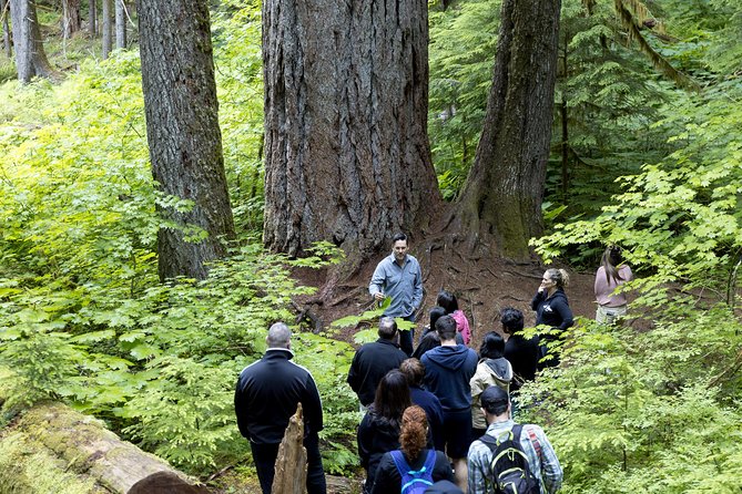 Mt. Rainier National Park Highlights Tour - Paradise Valley at 5,400 Feet: The Day’s Main Event (and Winter Rules)