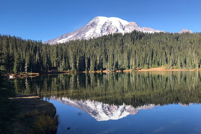 Mt. Rainier National Park Highlights Tour - Twin Firs Loop and Reflection Lakes: Old-Growth Time and Mirror-Style Views