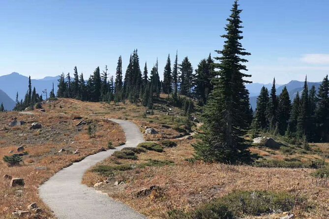 Mt Rainier National Park Small Group Day Tour from Seattle 2CanGo - Key Things to Know Before You Go