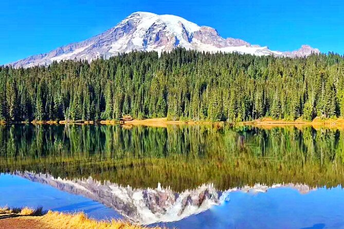 Mt Rainier National Park Small Group Day Tour from Seattle 2CanGo - Christine Falls and Narada Falls: Big Waterfall Payoff With Minimal Effort