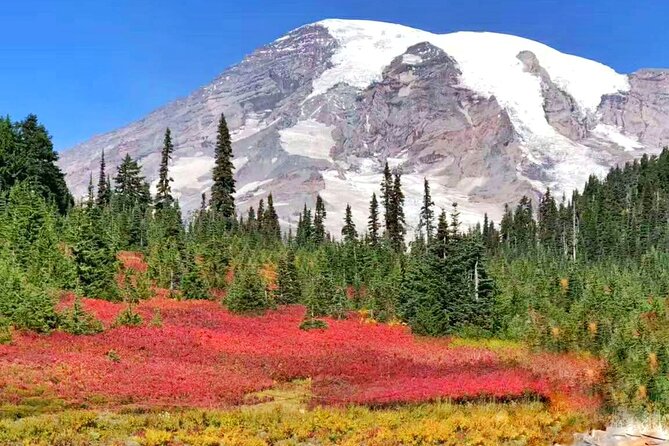 Mt Rainier National Park Small Group Day Tour from Seattle 2CanGo - Paradise Visitor Area and Reflection Lakes: When Conditions Are Good, This Is the Day