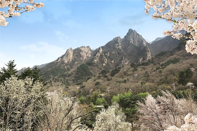 Mt. Seorak+Nami Island+Garden of Morning Calm Day Trip from Seoul - Why this Mt. Seorak–Nami Island day trip is such a good use of time