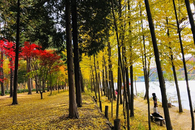 Mt. Seorak+Nami Island+Garden of Morning Calm Day Trip from Seoul - Seoraksan National Park and Shinheungsa Temple: hike time, cable car options, and fall swaps