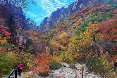 Mt. Seorak+Nami Island+Garden of Morning Calm Day Trip from Seoul - Getting moving from Seoul: meeting points and how the day feels
