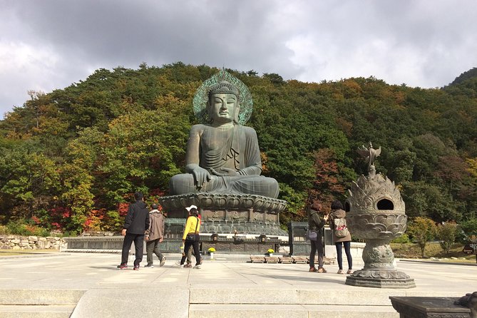 Mt. Seorak+Nami Island+Garden of Morning Calm Day Trip from Seoul - Nami Island for tree-lined walks: ferry access, crowd reality, and photo strategy