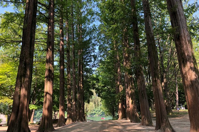 Mt. Seorak+Nami Island+Garden of Morning Calm Day Trip from Seoul - Garden of Morning Calm: the softer landing after hiking and crowds