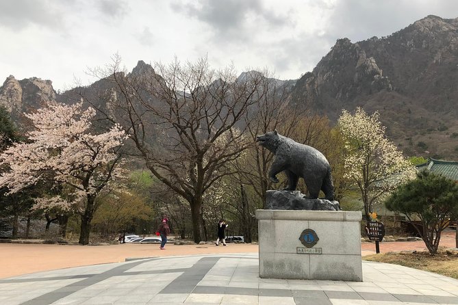 Mt. Seorak+Nami Island+Garden of Morning Calm Day Trip from Seoul - The guide factor: why the day runs better than you expect