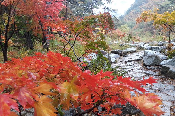 Mt. Seorak+Nami Island+Garden of Morning Calm Day Trip from Seoul - Best season choices: cable car vs Jujeongol Valley and what to wear