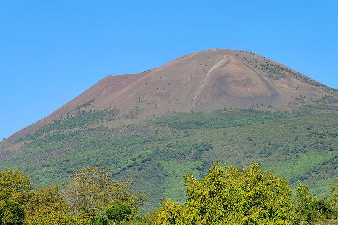 Mt Vesuvius Half-Day Trip from Naples - Price and value: what $77.86 is paying for
