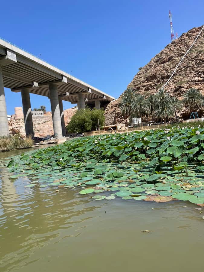 Muscat: Wadi Shab, Romantic Cave and Sinkhole Full-day Trip - Lunch and snacks: the quiet quality-of-life upgrade