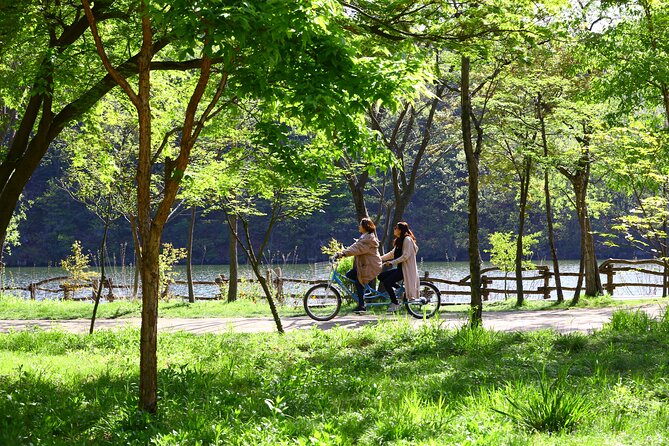Nami Island and Petite France & Italian Village Day Trip from Seoul - Price and Value: Why $55.24 Usually Feels Like a Deal