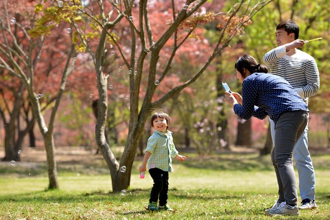 Nami Island and Petite France & Italian Village Day Trip from Seoul - Seasonal Swap: Eobi Ice Valley Comes Into Play