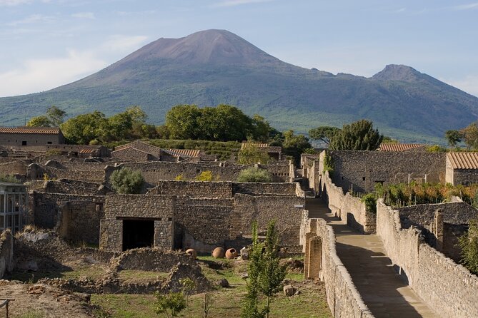 Naples: Pompeii & Herculaneum Day Trip – Small Group Tour - Comfort, crowds, and hearing the guide: what to expect on the road
