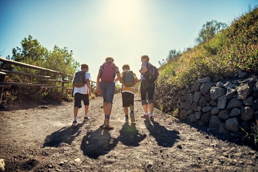 Naples: Pompeii & Mt. Vesuvius Day Trip with Tickets & Lunch - Price and Value: Is $126.65 Worth It?