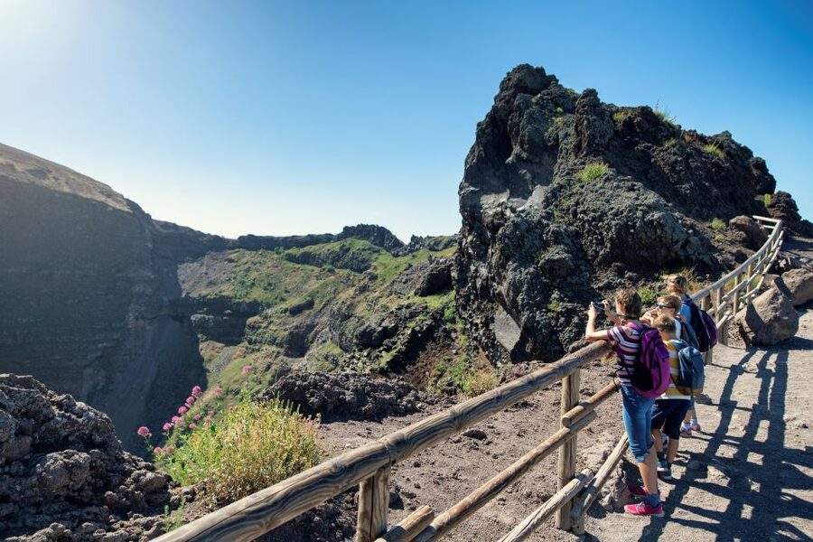 Naples: Pompeii & Mt. Vesuvius Day Trip with Tickets & Lunch - Who Should Book This Tour (and Who Should Skip It)
