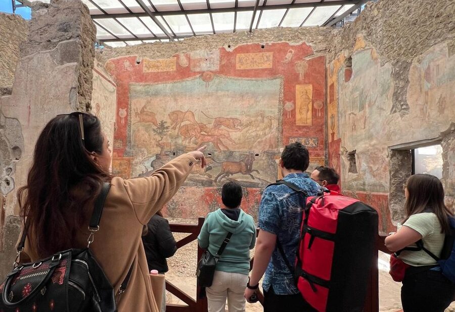 Naples: Pompeii & Mt. Vesuvius Day Trip with Tickets & Lunch - Mt. Vesuvius Options: Crater Views or the Hell Valley Lava Walk