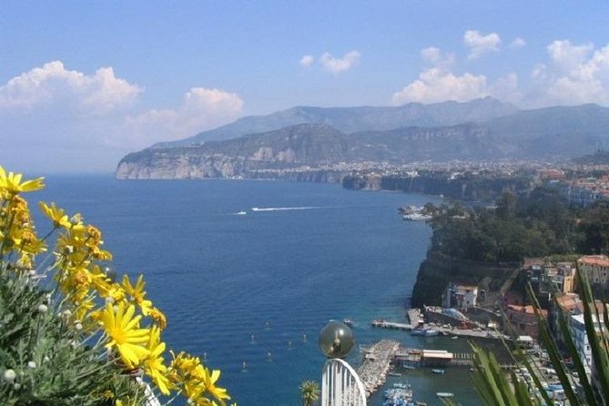 Naples Shore Excursion: Pompeii and Sorrento Day Trip - Key highlights worth your attention