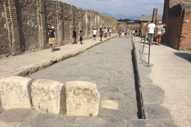 Naples Shore Excursion: Pompeii and Sorrento Day Trip - How the guide and audio affect your Pompeii experience