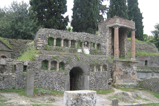 Naples Shore Excursion: Pompeii Half Day Trip from Naples - Worry-free return: why cruise timing changes everything
