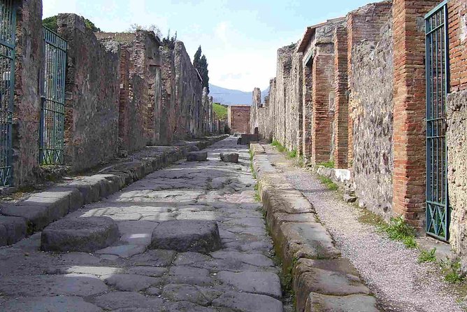 Naples Shore Excursion: Pompeii Half Day Trip from Naples - Port pickup in Naples: where to meet and how to stay sane