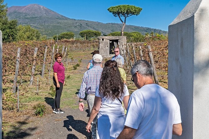 Naples: Tour of Mt Vesuvius and Pompeii w/ Lunch & Wine tasting - Vesuvius National Park and the crater walk: views, wind, and steep ground
