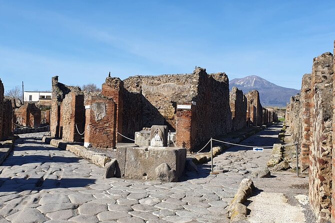 Naples: Tour of Mt Vesuvius and Pompeii w/ Lunch & Wine tasting - Mt Vesuvius lunch and wine tasting: the break you’ll feel