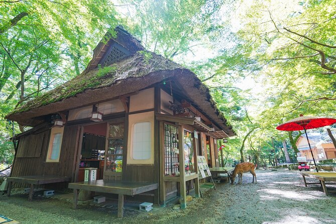 Nara Half Day Trip Walking Tour (Private Option Available) - Lunch at 107 Zōshichō: where the day gets calmer
