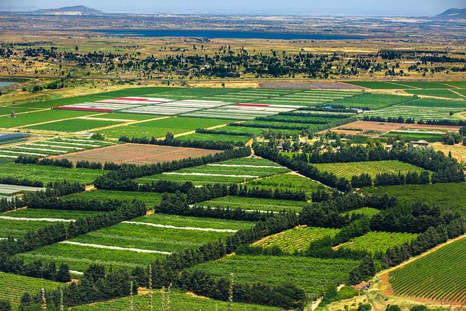 Nazareth and the Sea of Galilee Day Trip from Jerusalem - Sea of Galilee: a shore walk plus the Miracle of the Loaves