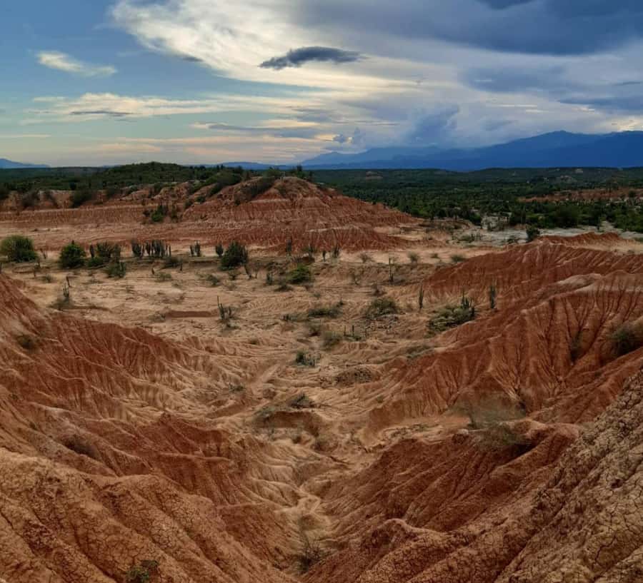Neiva: Guided Day Trip to the Tatacoa Desert with Lunch - From Neiva or Villavieja to the Tatacoa: a full day with good pacing
