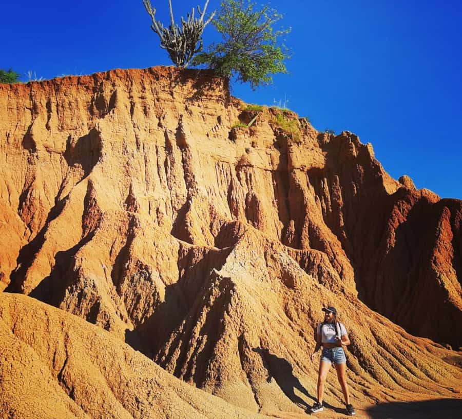 Neiva: Guided Day Trip to the Tatacoa Desert with Lunch - Two deserts in one day: Red Zone hikes and Gray Zone trails