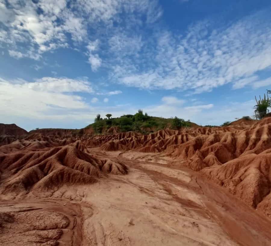 Neiva: Guided Day Trip to the Tatacoa Desert with Lunch - Villavieja streets and the Paleontological Museum stop
