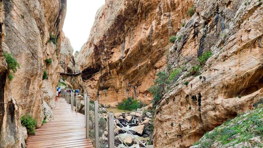 Nerja, Torrox, or Torre del Mar: Caminito del Rey Day Trip - Price and logistics: is $81 a fair deal?