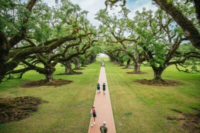New Orleans: Oak Alley Plantation and Swamp Cruise Day Trip - Oak Alley Plantation: period-costumed guides and the hard story