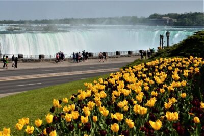 Niagara Falls and Niagara-on-the-Lake Day Tour from Toronto - Boat cruise decision: Horseshoe Falls from the water (and the seasonal catch)