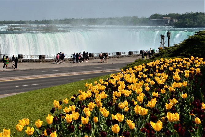 Niagara Falls and Niagara-on-the-Lake Day Tour from Toronto - Boat cruise decision: Horseshoe Falls from the water (and the seasonal catch)