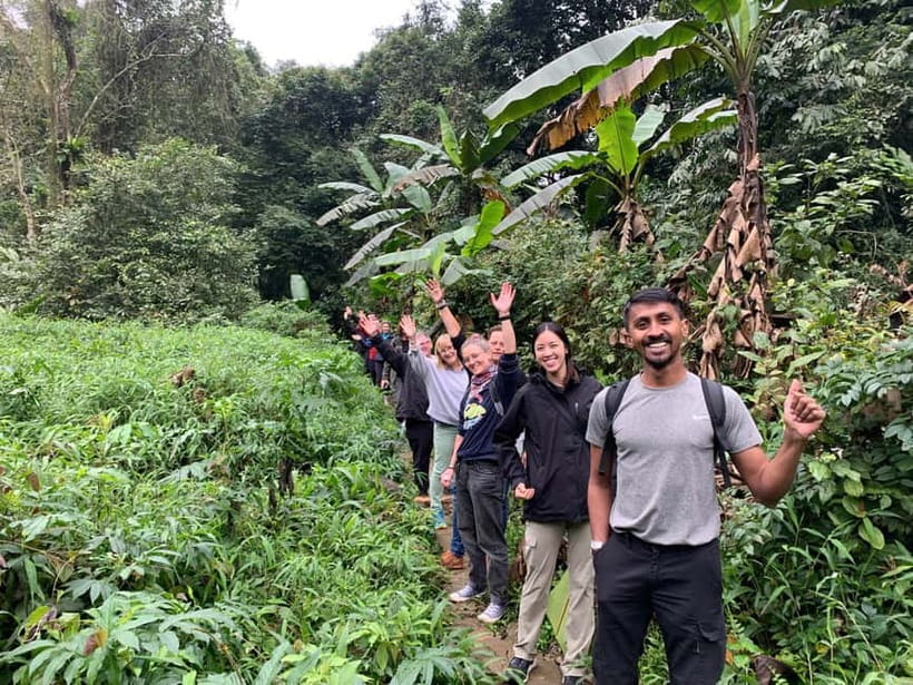 Ninh Binh: Cuc Phuong Jungle Hike & Wildlife Day Trip - Botanical gardens and visitor center: learn the forest before you walk it