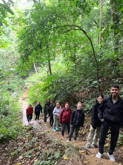 Ninh Binh: Cuc Phuong Jungle Hike & Wildlife Day Trip - What the guides add (beyond facts): the difference between seeing and noticing