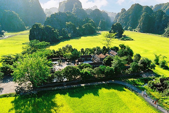 Ninh Binh Day Trip - Mua Cave: The 500 Steps That Pay Off (If You Pace Yourself)